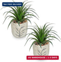 Hollyone 2 Pack Small Artificial Succulents Plants Potted Fake Spiked Succulent